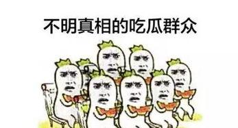 单纯吃瓜群众,吃瓜群众眼中的明星生活