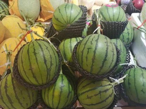 吃瓜小水瓶,趣味生活背后的故事