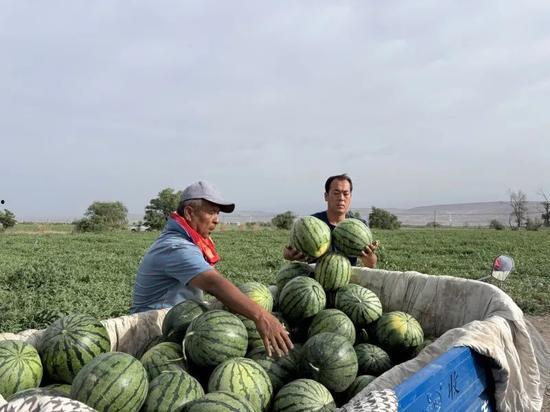报恩十三年 吃瓜,一场吃瓜者的逆袭传奇