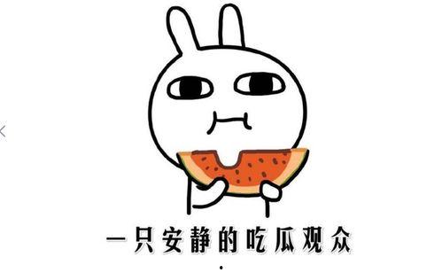 吃瓜学妹 吃瓜看简介,揭秘娱乐圈背后的故事