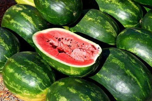 常德吃瓜视频大全,趣味横生的本土生活剪影