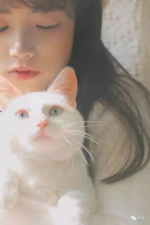 吃瓜网红少女猫猫,吃瓜网红的趣味生活揭秘