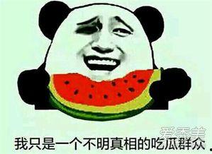 吃瓜群众怎么解释,网络时代的围观者与传播者