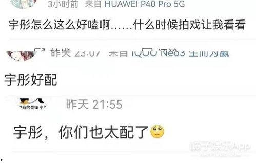吃瓜吃不懂下一句,揭秘娱乐圈背后的真相