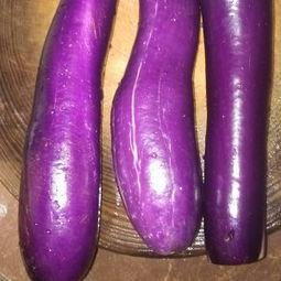 痔疮可以吃茄瓜吗吗,适宜食用还是需谨慎？