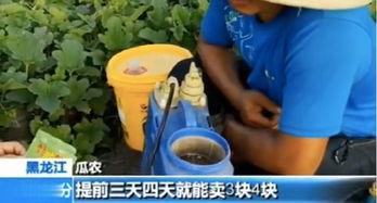 快穿嘎嘎吃瓜,嘎嘎吃瓜，解锁无尽欢乐