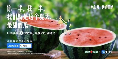 含蓄的吃瓜文案,揭秘那些含蓄的吃瓜瞬间