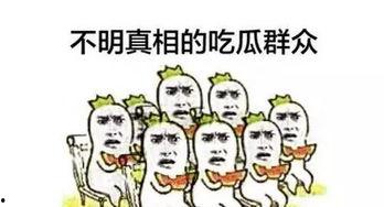 感情纠纷吃瓜,一场吃瓜群众的情感盛宴