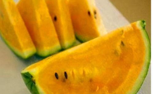 黄色瓜哪里吃